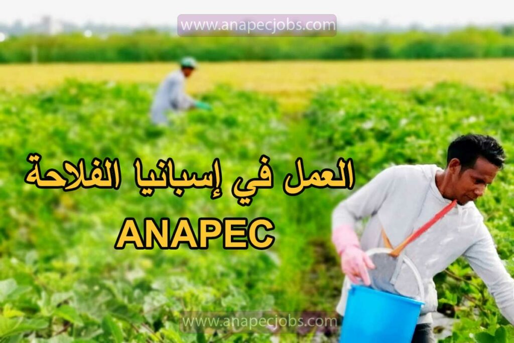 العمل في إسبانيا الفلاحة 2024 ANAPEC