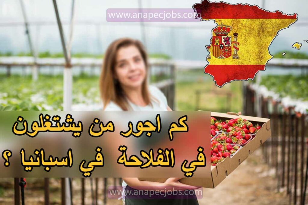 العمل في إسبانيا الفلاحة 2024 ANAPEC